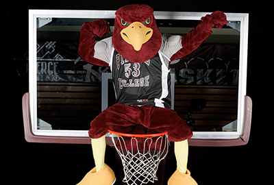 raider bird mascot sitting on top of basketball hoop