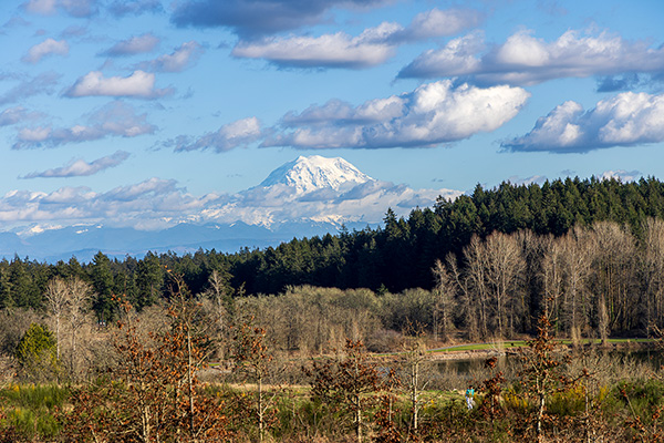 view of mount rainier from campus