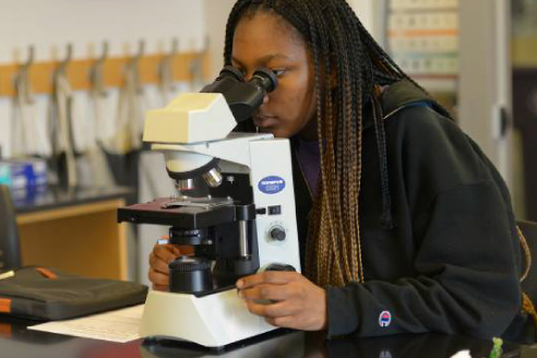 student bent over microscope studying film