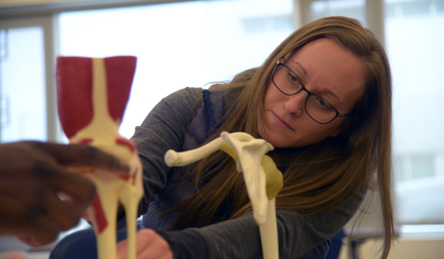 student examining anatomical model