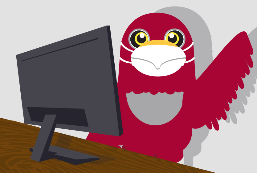 Masked Raider Bird sitting at a computer