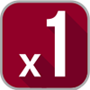 x1
