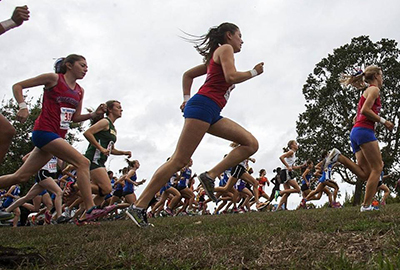 Runners at a cross country meet