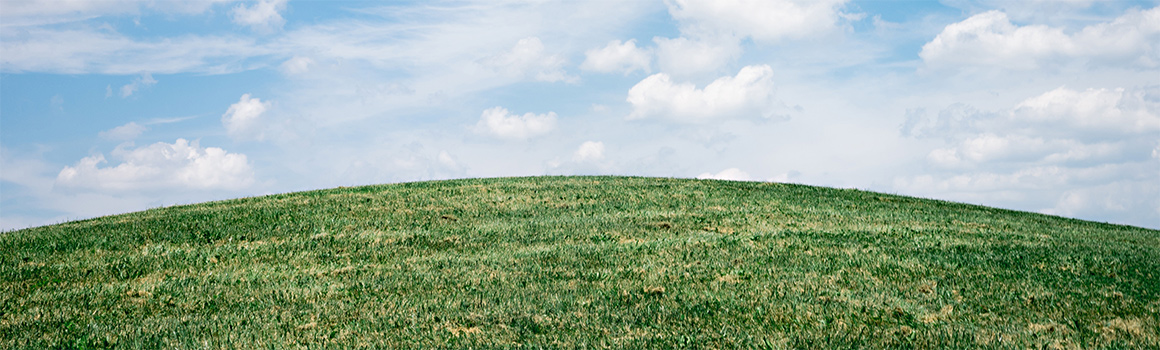 Field of grass under sky with clouds