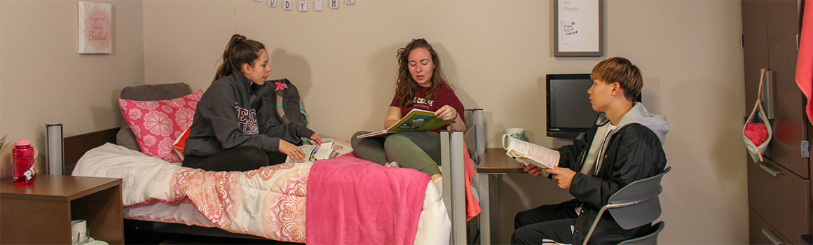 students studying in a residence hall room