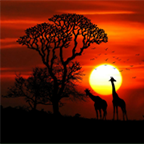 kenyan outback at sunset kenyan outback at sunset