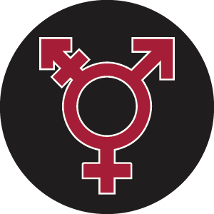 lgbtqia symbol icon lgbtqia symbol icon