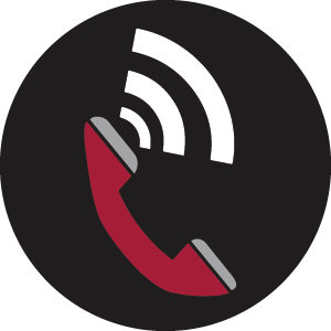 phone icon phone icon