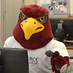 Raider Bird working in an office