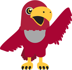 illustration of the red pierce college raider bird illustration of the red pierce college raider bird
