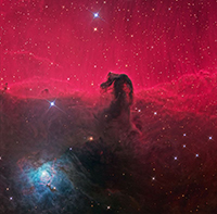constellation that looks like a horse head constellation that looks like a horse head