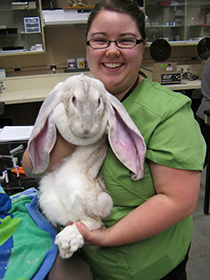 veterinary technician holding a bunny