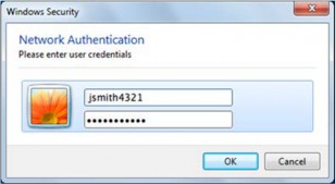 sign in to wi-fi network authentication window